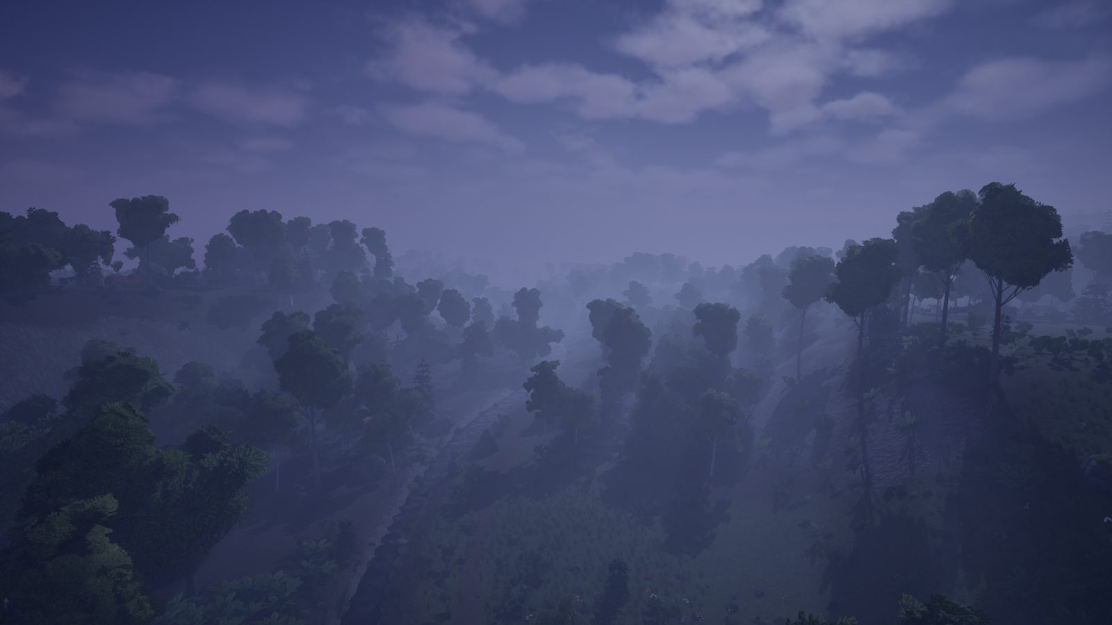 The Mist Valley from above at night: broadleaf forest in blue midsummer dusk, mist lying in the hollows.